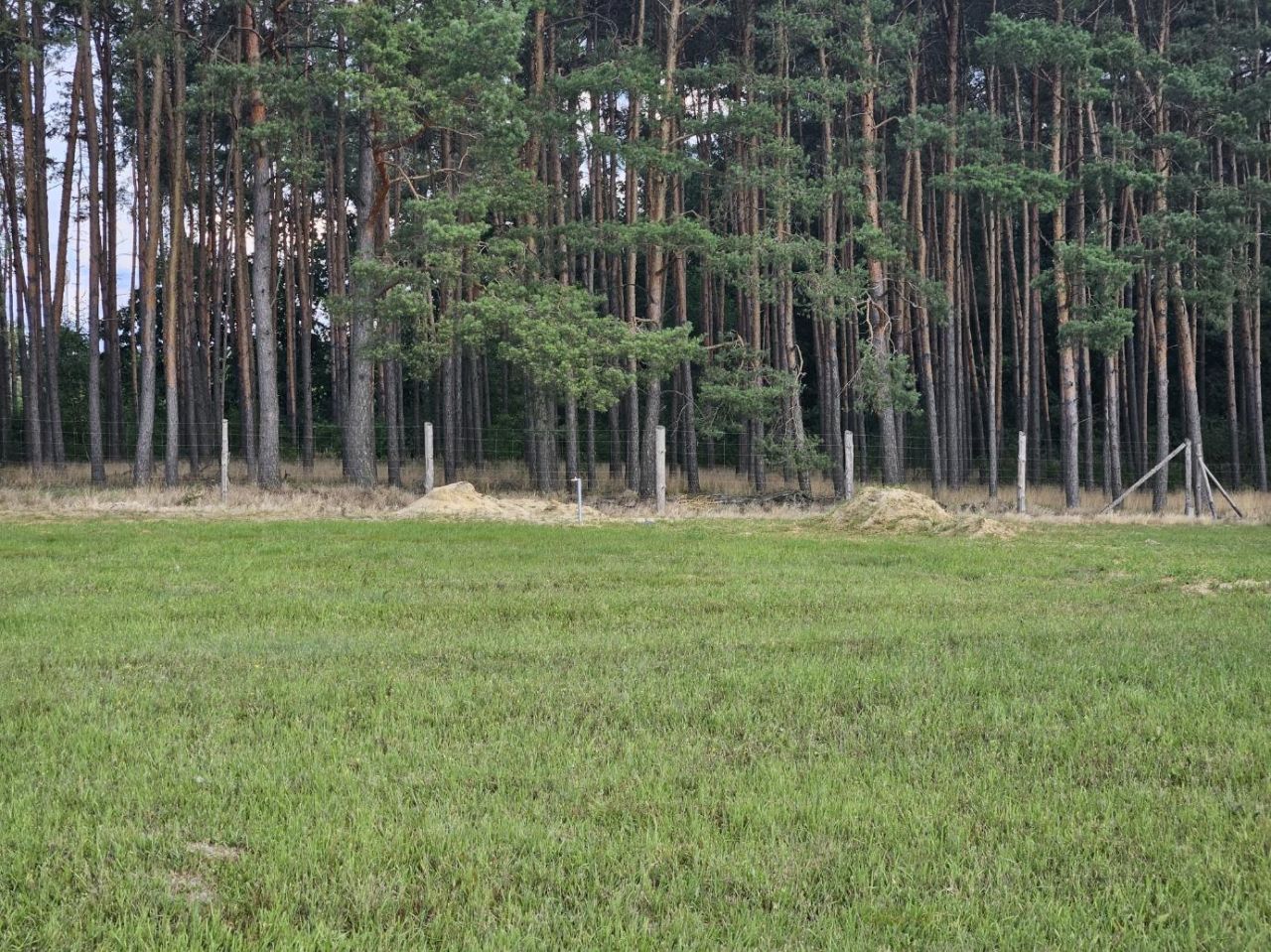 Działka budowlana Dąbie. Zdjęcie 10