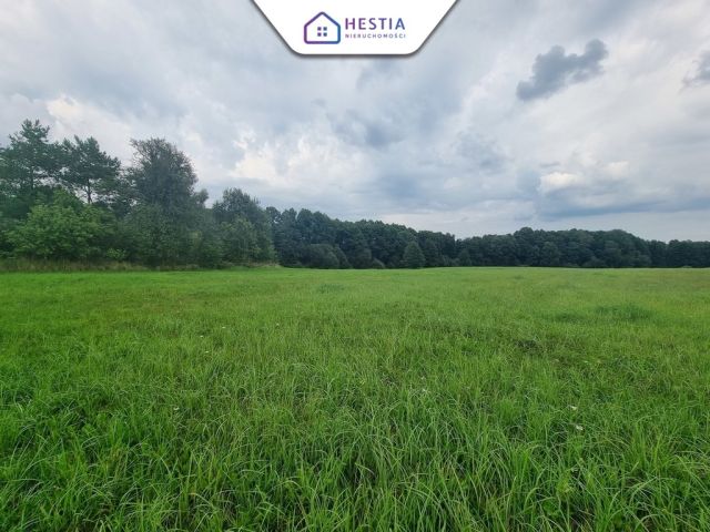 dom wolnostojący, 3 pokoje Wierzchówko. Zdjęcie 19