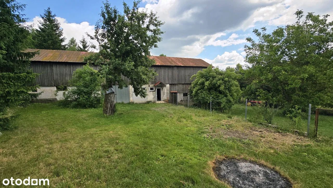 dom wolnostojący, 6 pokoi Chocieszów. Zdjęcie 13