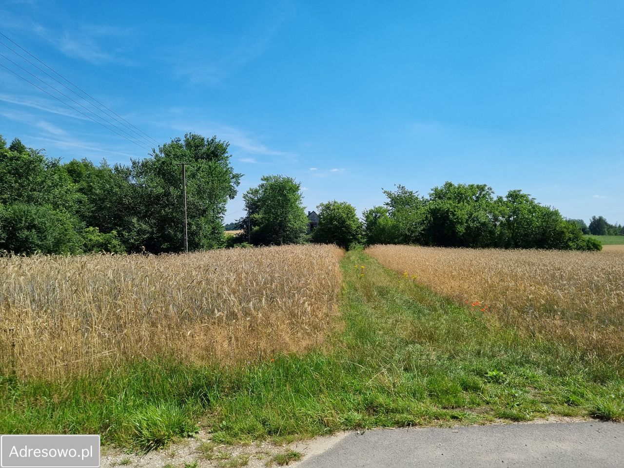 Działka budowlana Bysław. Zdjęcie 5