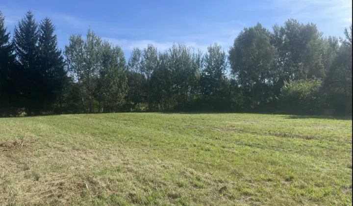 Działka budowlana Ruda-Huta, ul. Polna