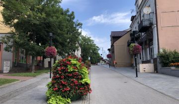 Nieruchomość komercyjna Busko-Zdrój, ul. Adama Mickiewicza