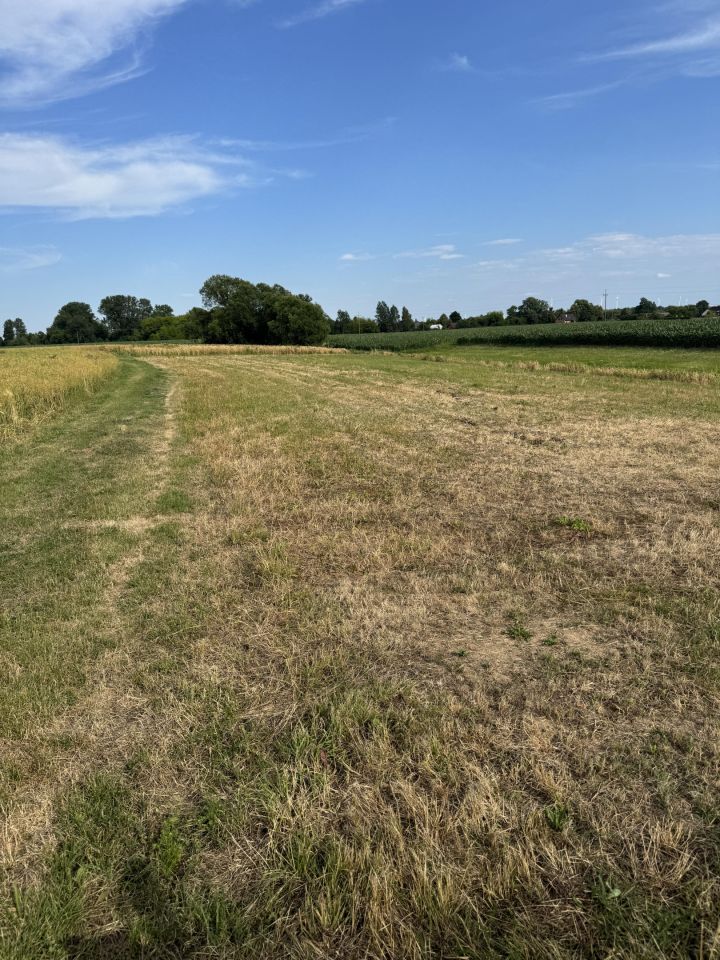 Działka rolno-budowlana Dębina. Zdjęcie 3