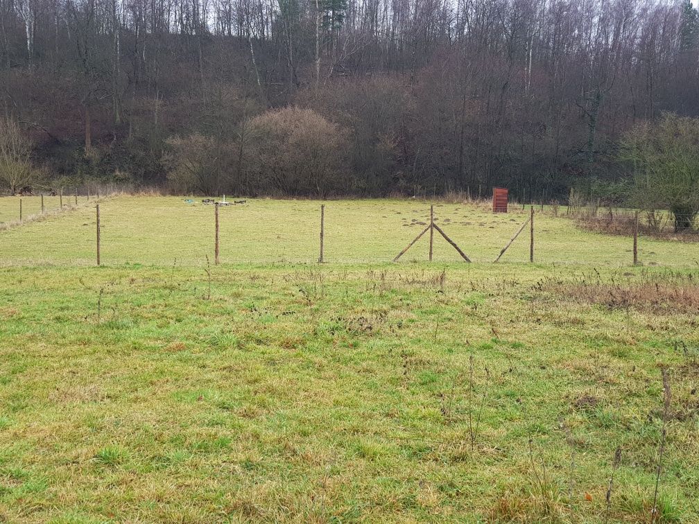 Działka siedliskowa Zwola