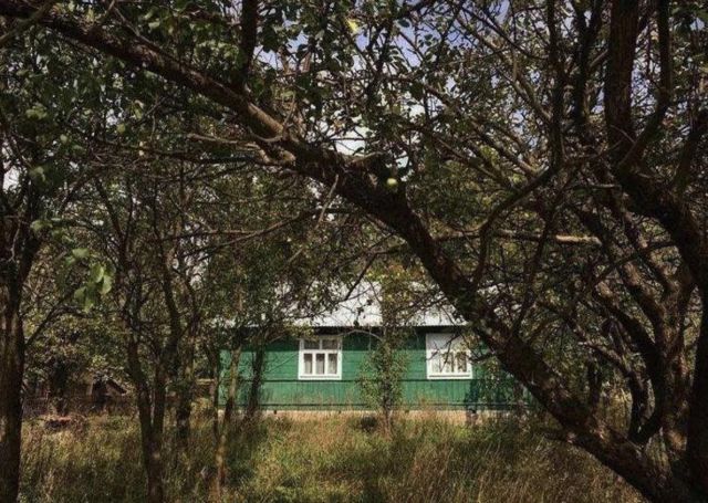 Działka rolno-budowlana Rogóźno. Zdjęcie 1