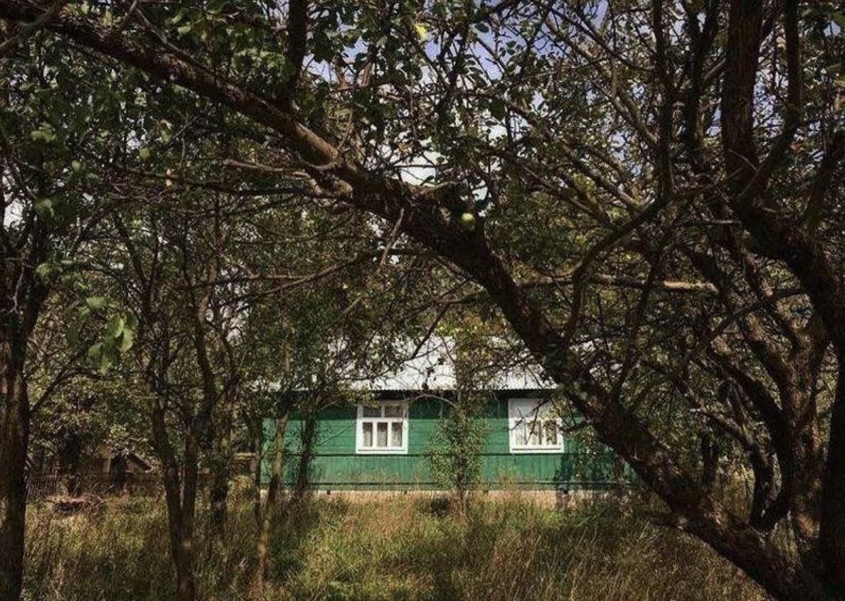 Działka rolno-budowlana Tomaszów Lubelski, Siedlisko Roztocze. Zdjęcie 1