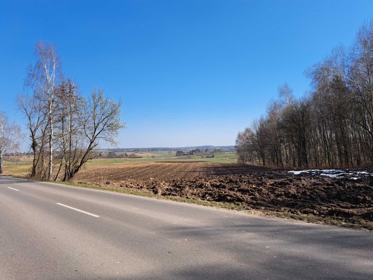 Działka rolna Rachodoszcze. Zdjęcie 3