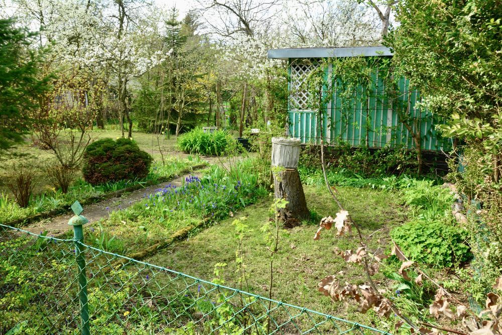 Działka rod Poznań Stare Miasto, ul. Klaudyny Potockiej. Zdjęcie 5