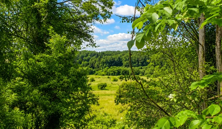 dom wolnostojący, 2 pokoje Rakowo, Rakowo