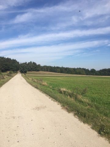 Działka rolna Marcinki. Zdjęcie 1