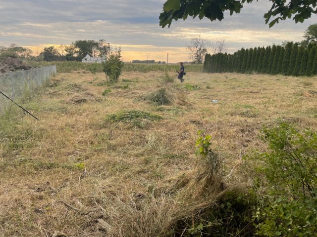 Działka budowlana Rostworowo. Zdjęcie 1