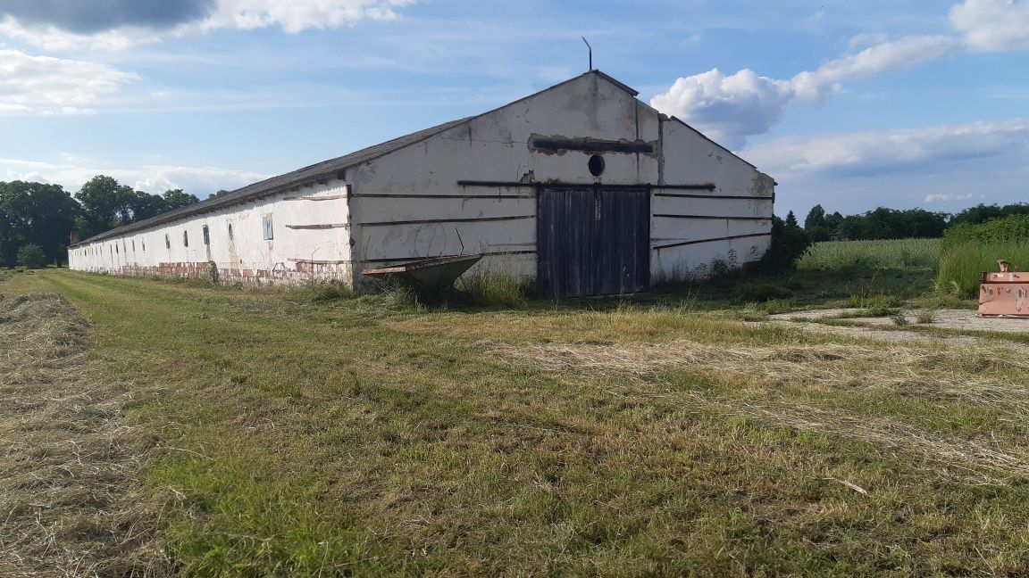 Lokal Korfantów. Zdjęcie 2