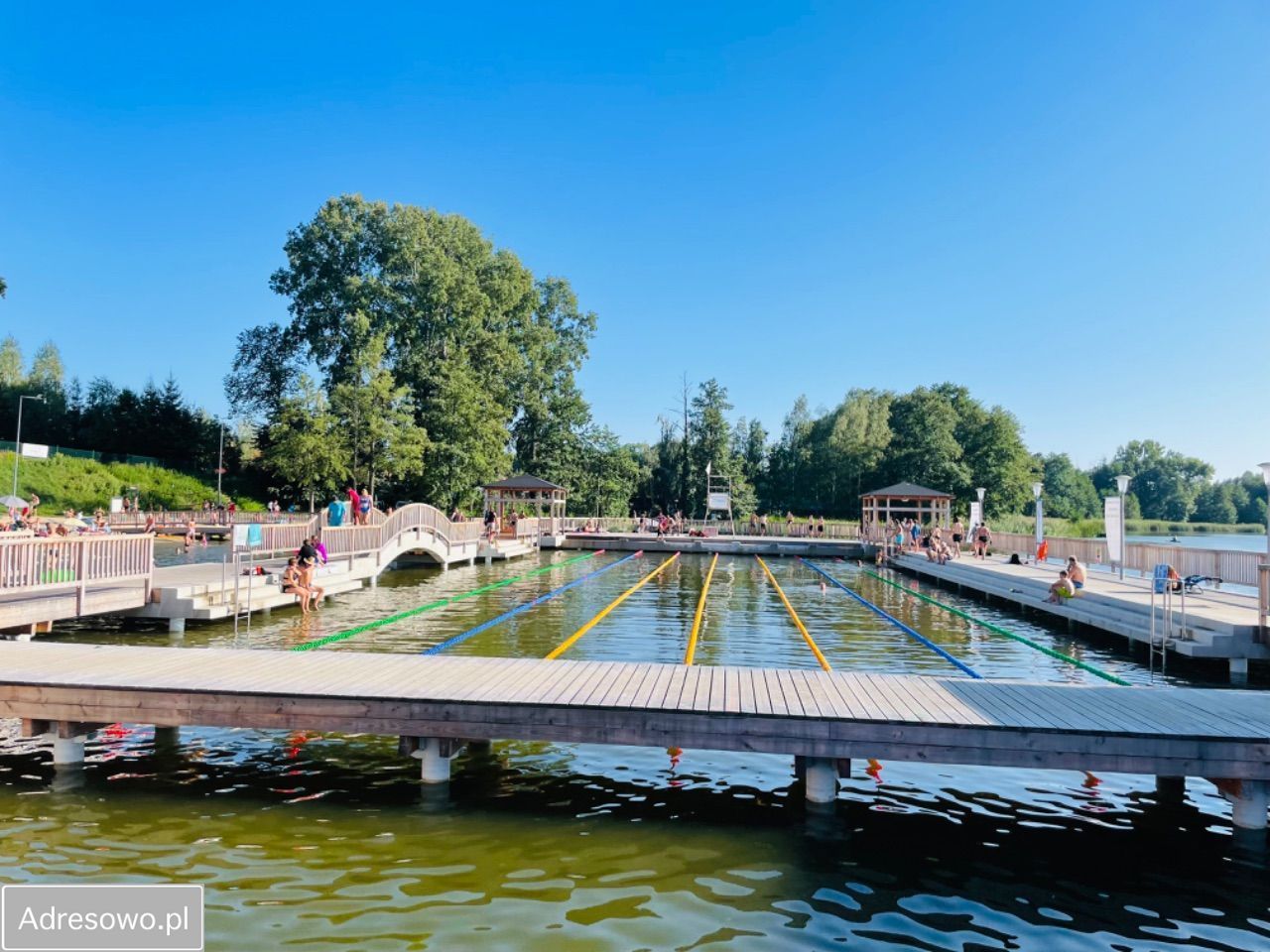 Działka rod Lgiń. Zdjęcie 2