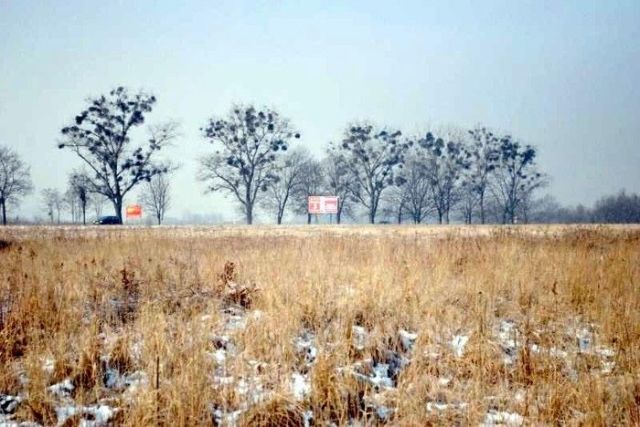 Działka inwestycyjna Stanowice. Zdjęcie 1