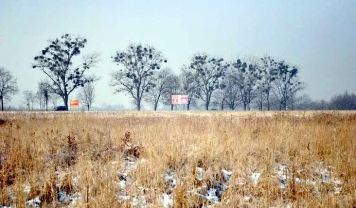 Działka inwestycyjna Stanowice