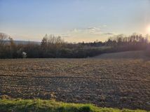 Działka rolno-budowlana Bolechowice. Zdjęcie 3