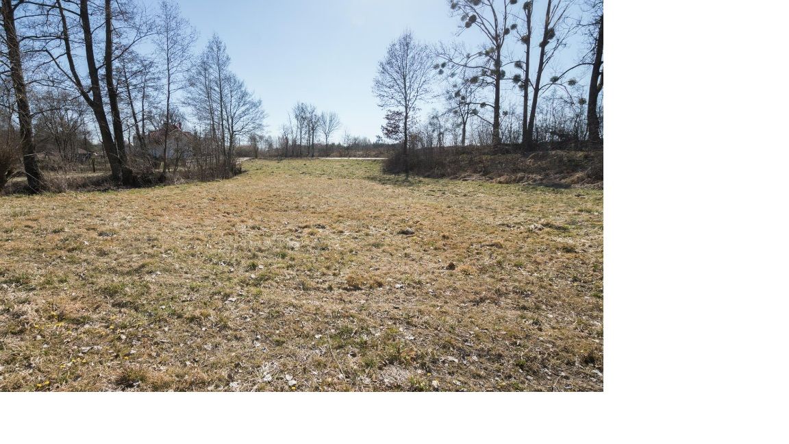 Działka budowlana Wilkowo. Zdjęcie 5