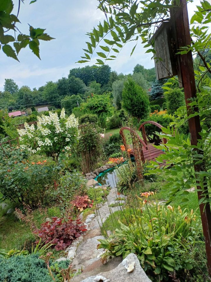 Działka rod Chełmno. Zdjęcie 7