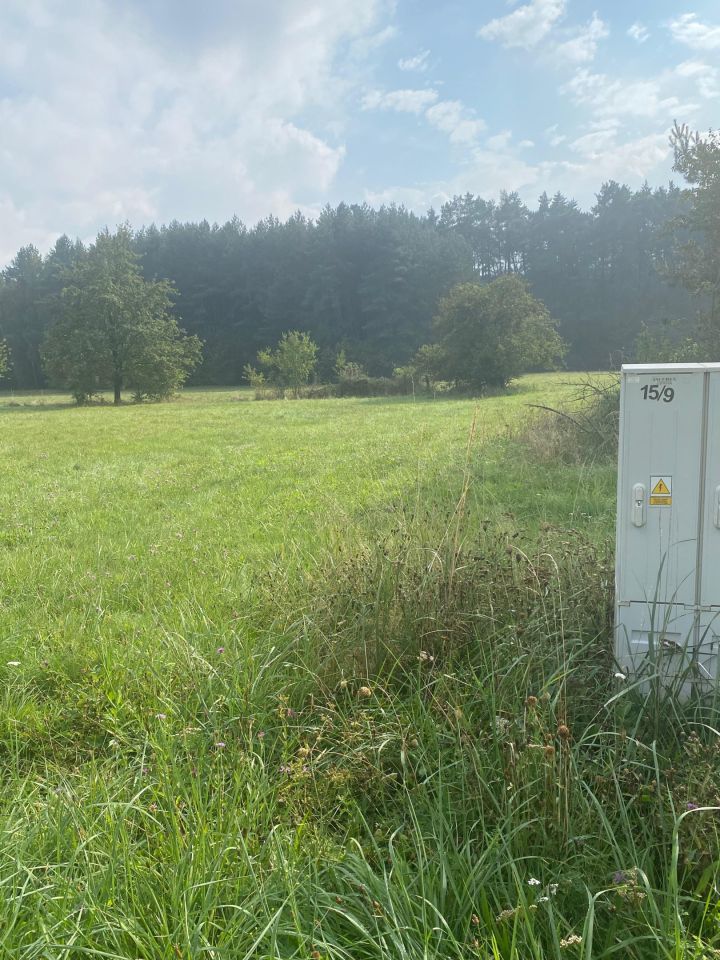 Działka budowlana Wszewilki Pomorska, Pomorska. Zdjęcie 2