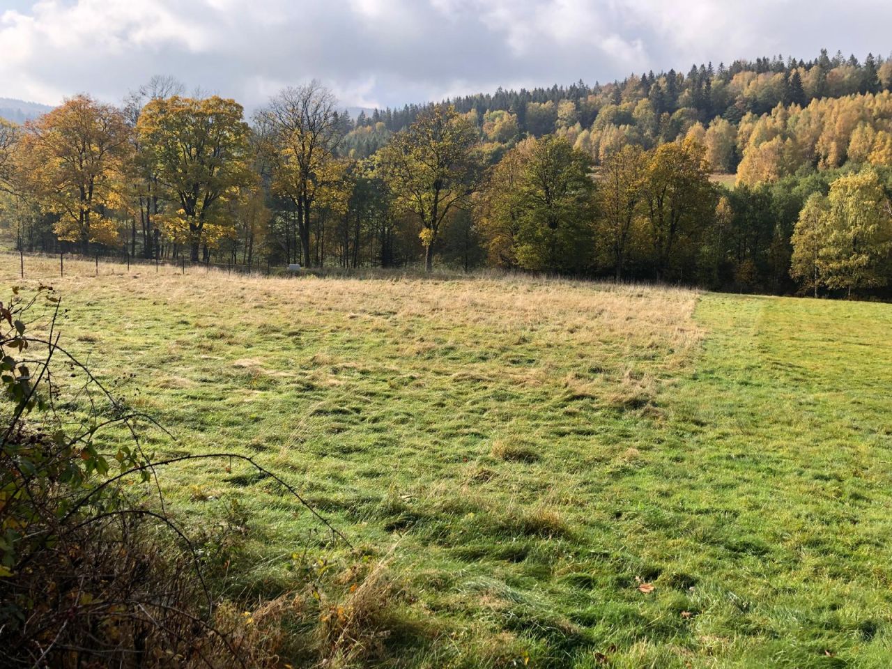 Działka budowlana Kamienica. Zdjęcie 3