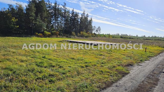Działka Grodztwo. Zdjęcie 6
