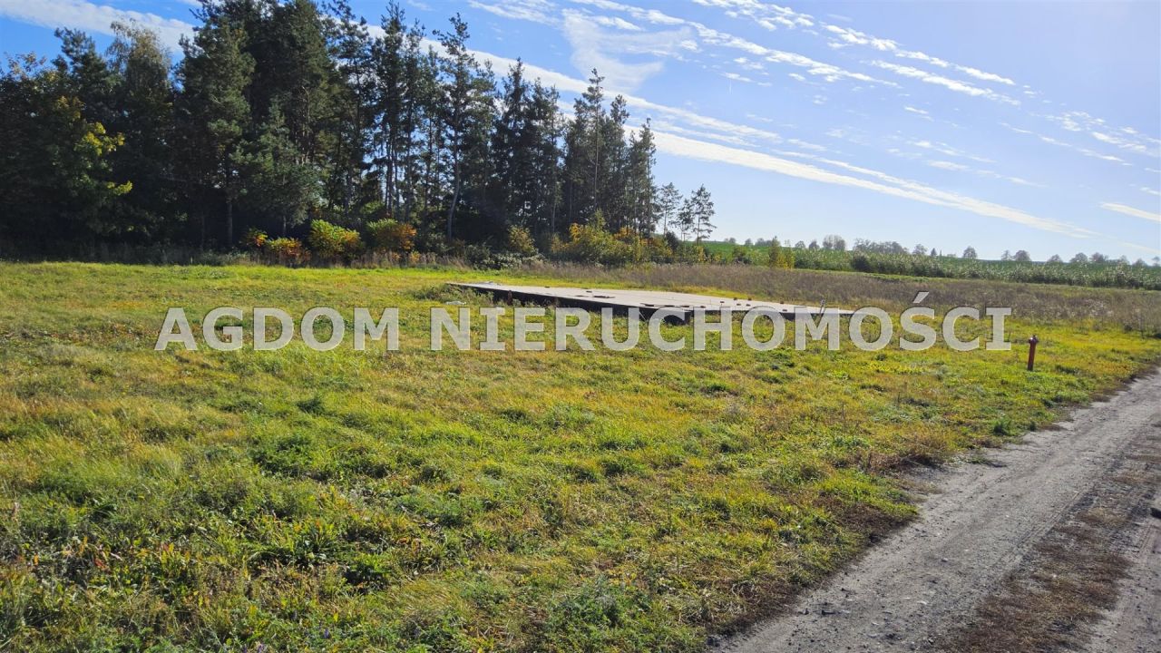 Działka Grodztwo. Zdjęcie 6