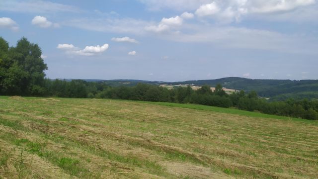 Działka rolna Baryczka. Zdjęcie 1