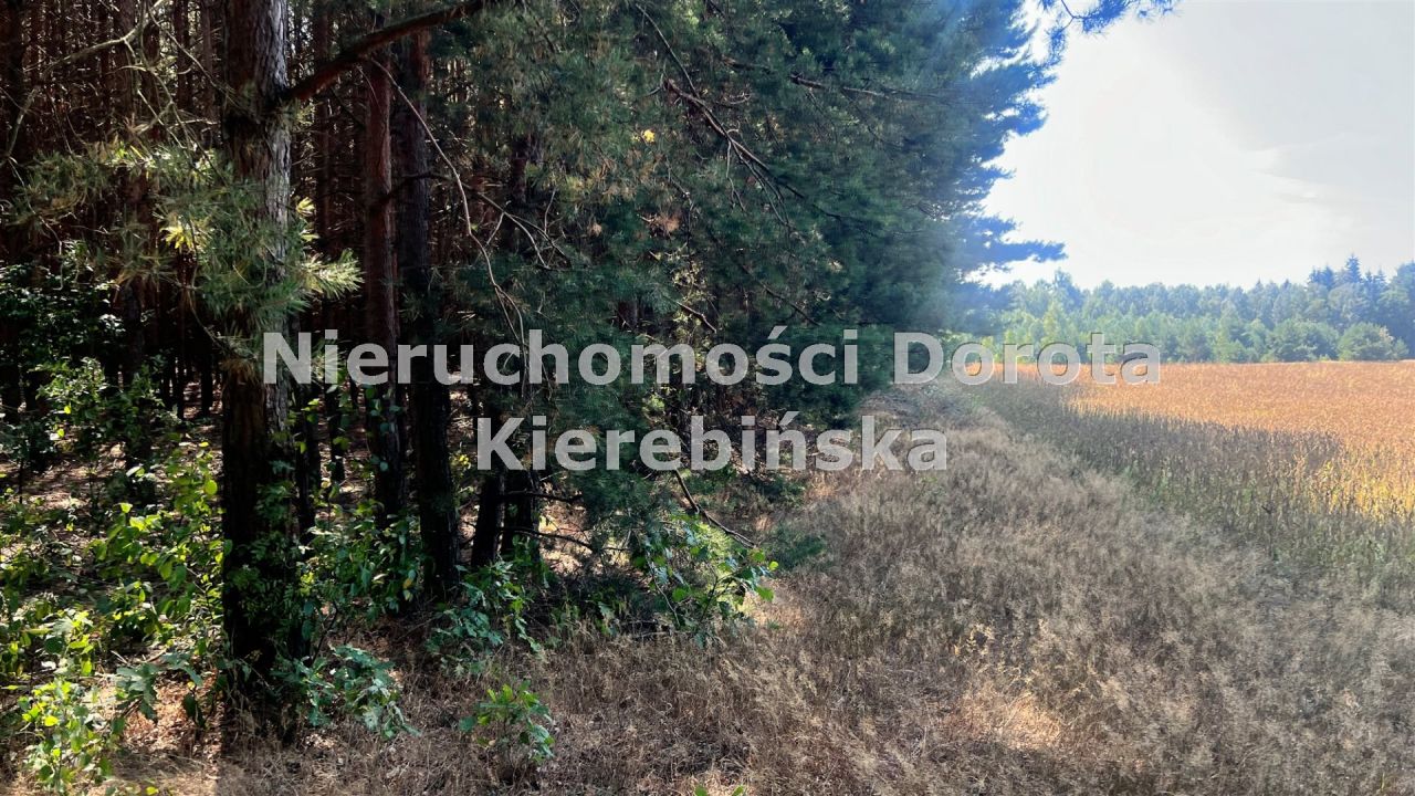 Działka rolna Wale. Zdjęcie 3