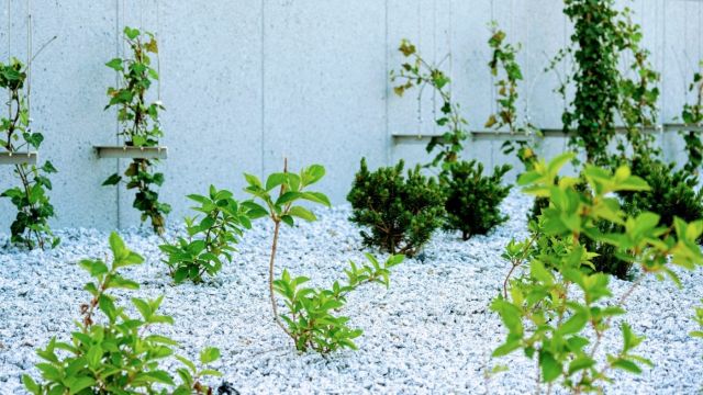 Mieszkanie 2-pokojowe Lublin Śródmieście. Zdjęcie 10