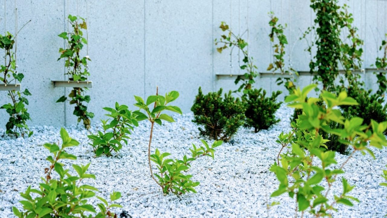 Mieszkanie 2-pokojowe Lublin Śródmieście. Zdjęcie 10