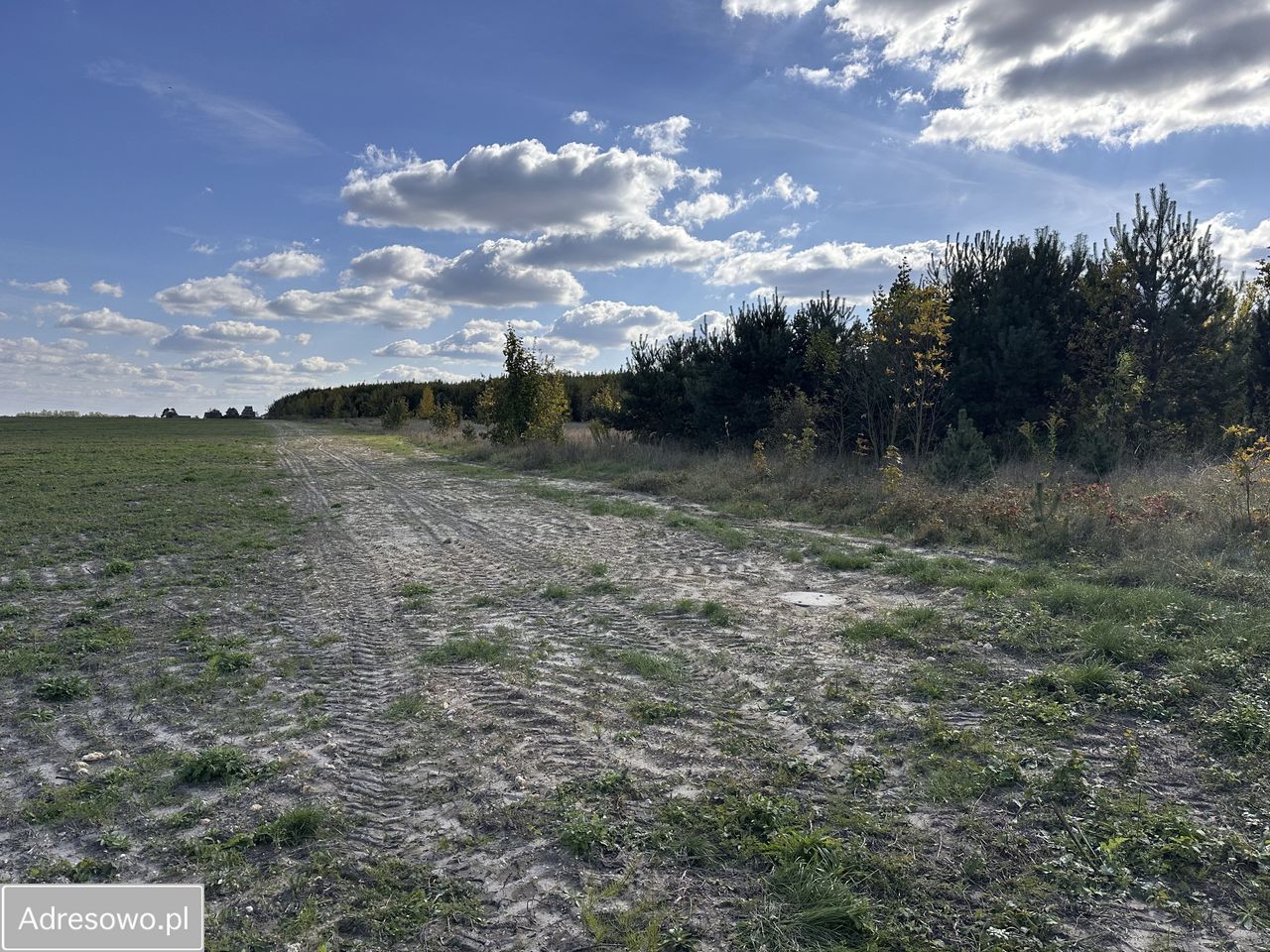 Działka budowlana Celiny. Zdjęcie 3