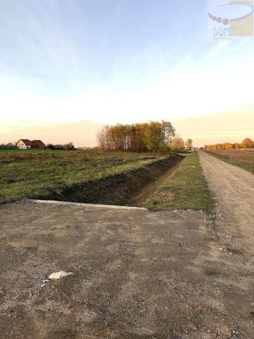 Działka rolna Domaniew, ul. Warsa i Sawy. Zdjęcie 3
