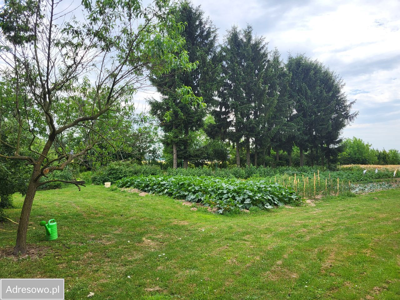 dom wolnostojący, 6 pokoi Stara Wieś. Zdjęcie 13