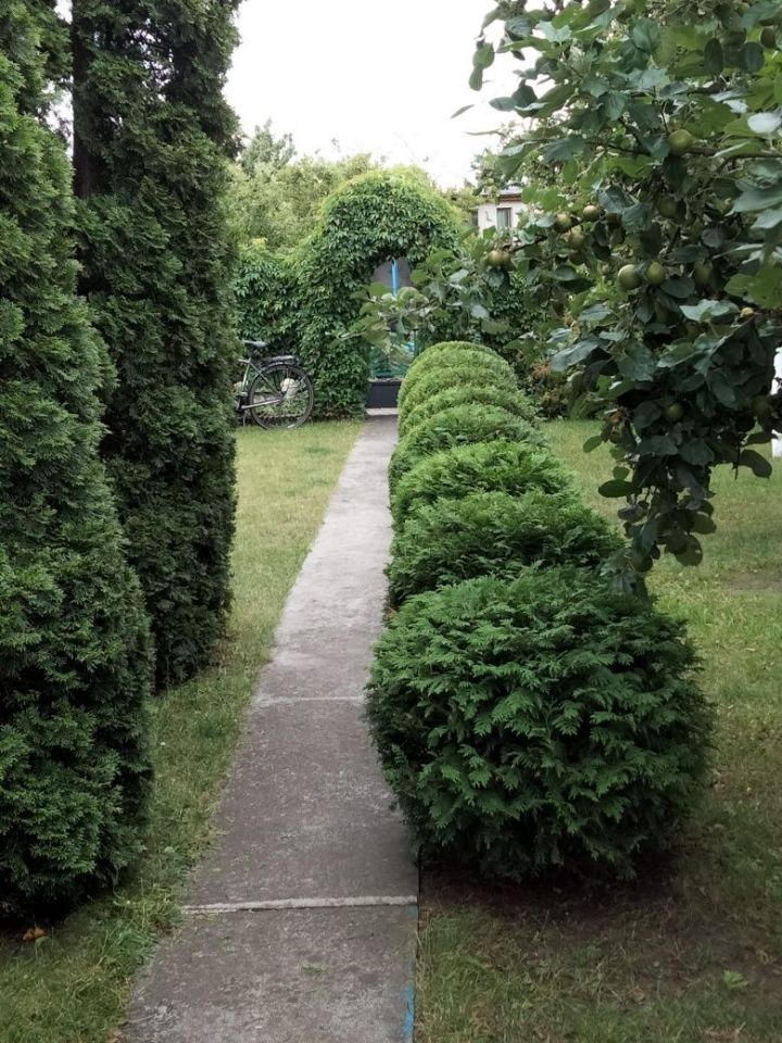 Działka rod Inowrocław. Zdjęcie 2