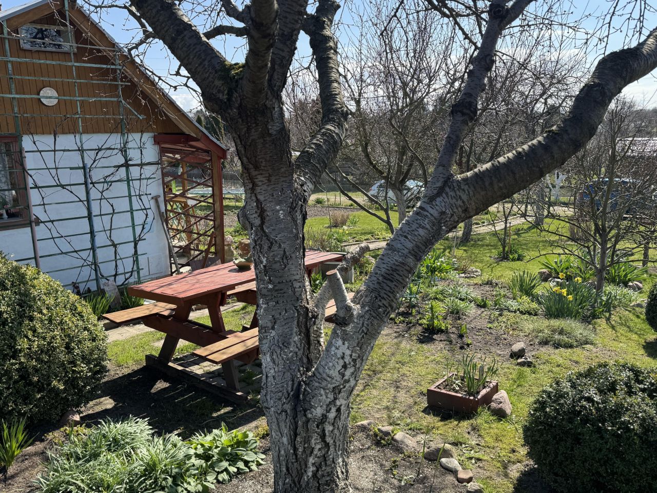 Działka rod Elbląg, ul. Fromborska. Zdjęcie 8