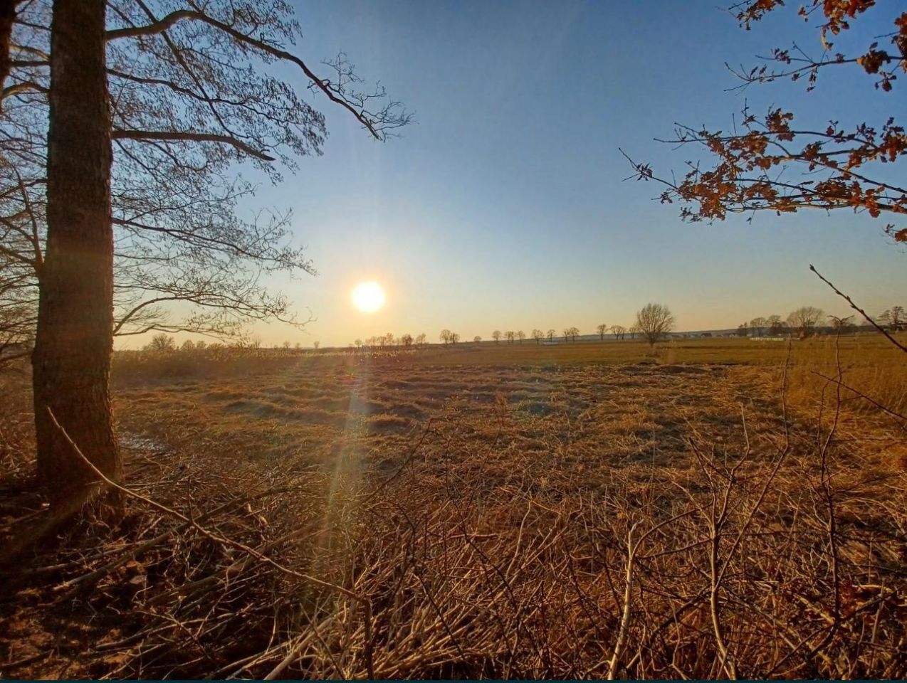 Działka budowlana Gorzów Śląski. Zdjęcie 3