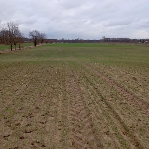 Działka budowlana Wytomyśl, ul. Wypoczynkowa. Zdjęcie 2