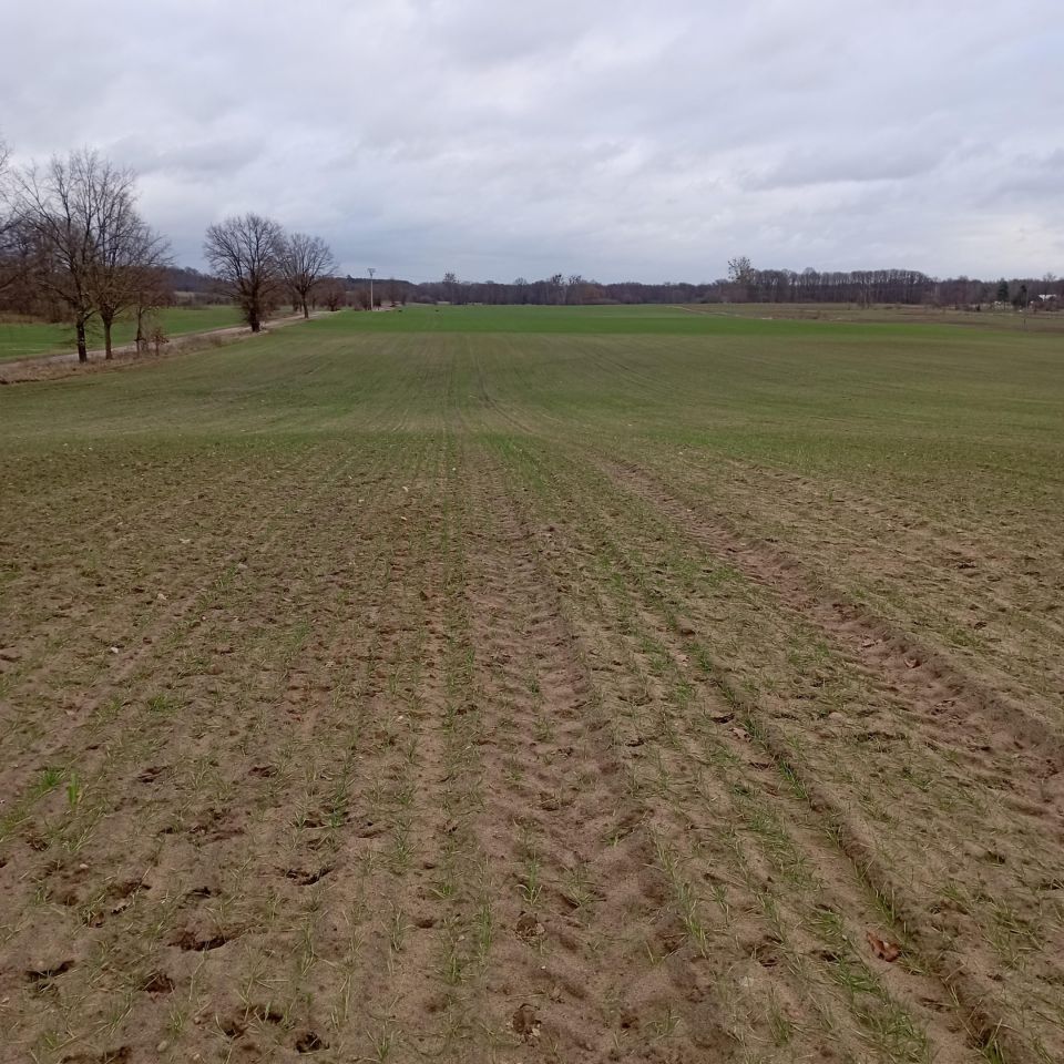 Działka budowlana Wytomyśl, ul. Wypoczynkowa. Zdjęcie 2