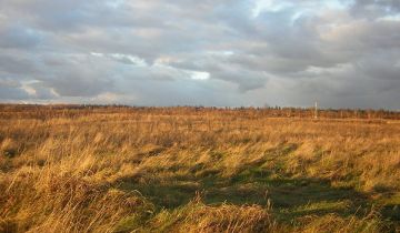 Działka rolna Grzybowo