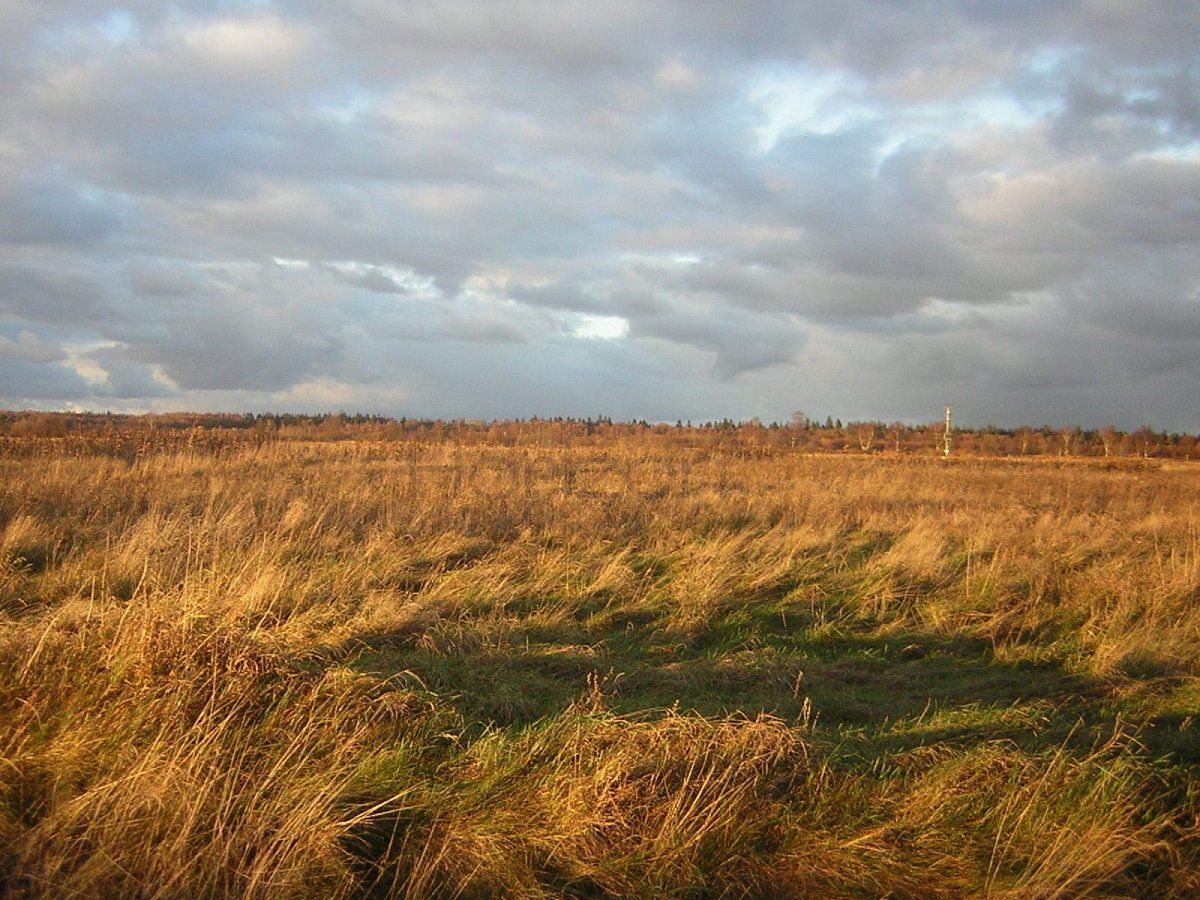 Działka rolna Grzybowo. Zdjęcie 2