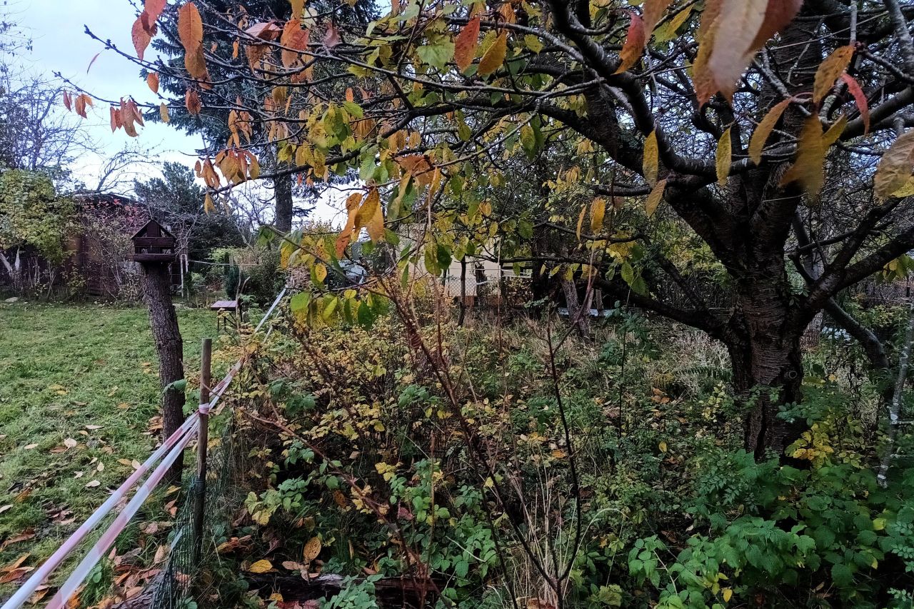 Działka rod Gdańsk Jasień, ul. mjr. Mieczysława Słabego. Zdjęcie 7