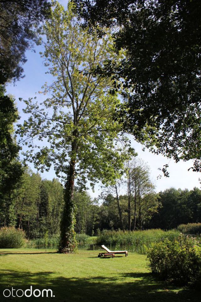 dom wolnostojący, 9 pokoi Przewodowice. Zdjęcie 11