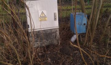 Działka rod Gdańsk Olszynka, ul. Łanowa