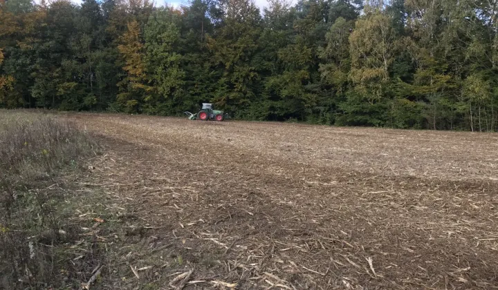 Działka budowlana Kochanowo, ul. Leśna