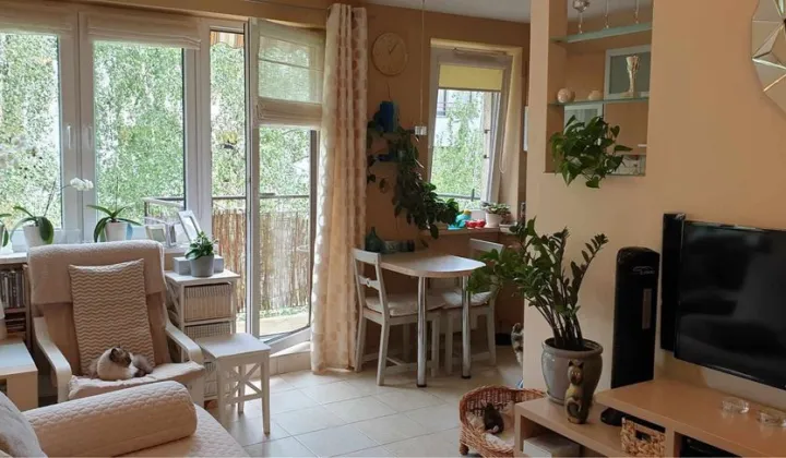 Mieszkanie 2-pokojowe Piaseczno, ul. Pelikanów