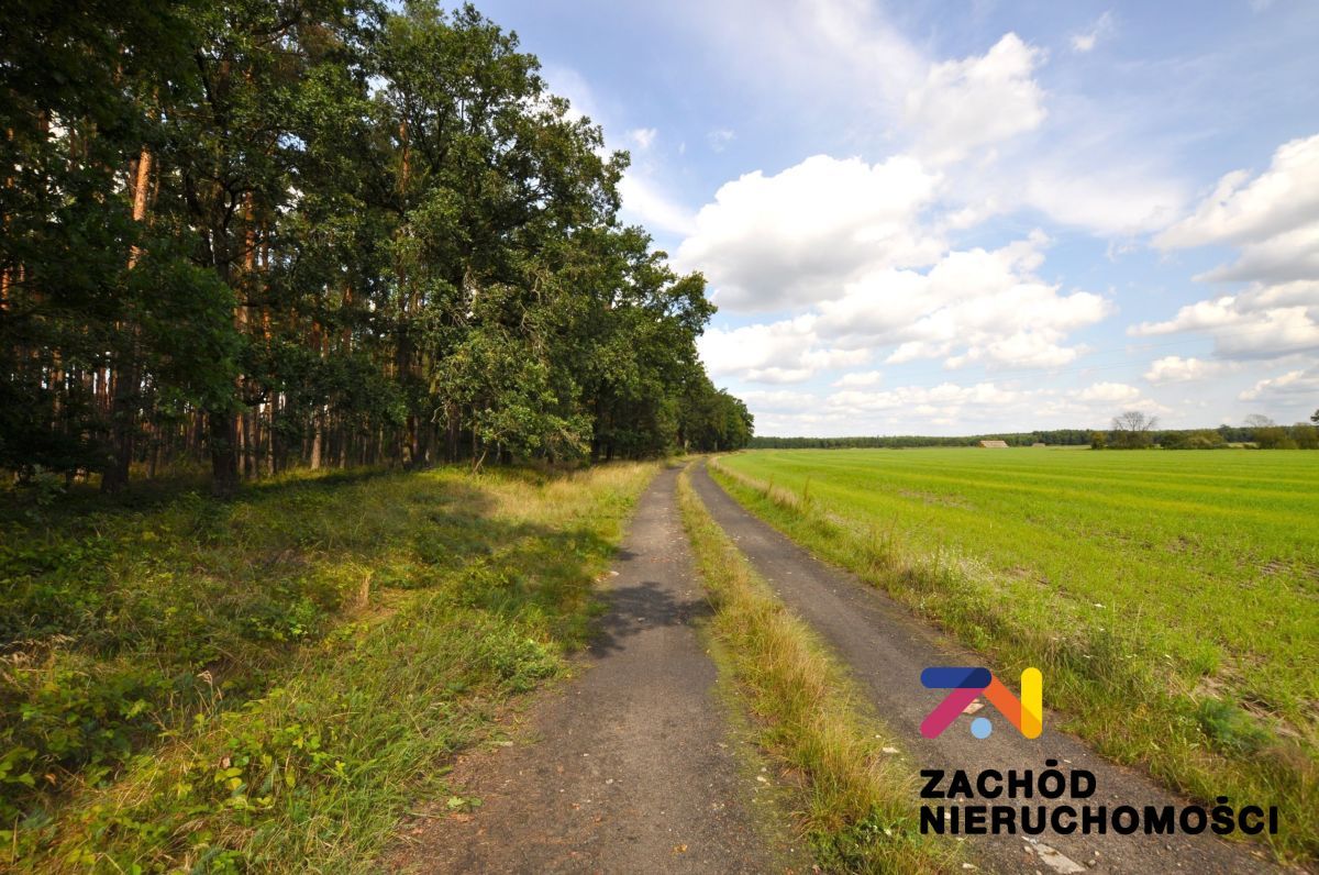 Działka rekreacyjna Karszyn. Zdjęcie 5