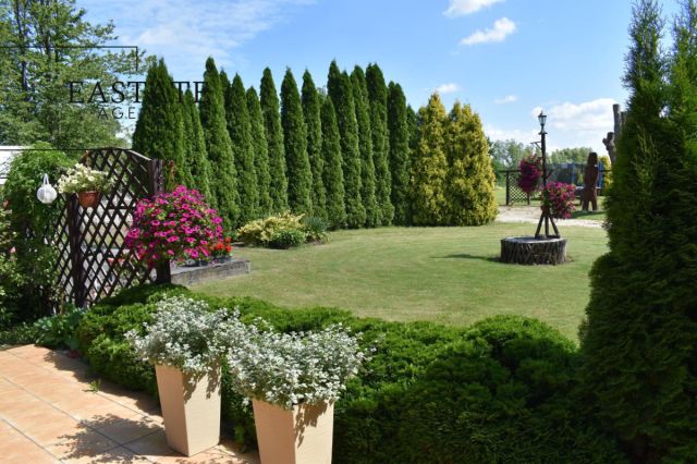 Lokal Dąbrowa. Zdjęcie 7