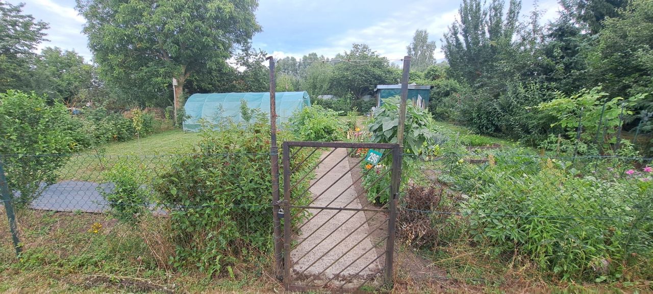 Działka rod Gorzów Wielkopolski Zawarcie. Zdjęcie 5