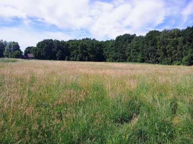 Działka budowlana Łagodzin. Zdjęcie 1