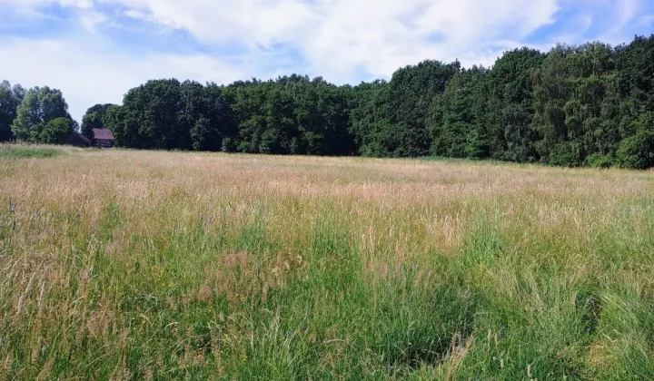 Działka budowlana Łagodzin